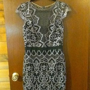 Tadashi Shoji Miranda Sequin Embroidered Dress size 8